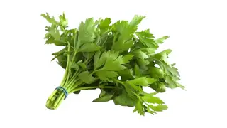 ოხრახუში