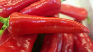 წითელი ბულგარული