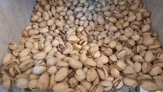 ფისტა