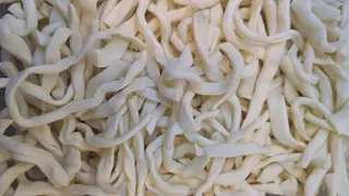 ჩეჩილი სულგუნი