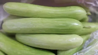 ქუთაისის შუშა კიტრი