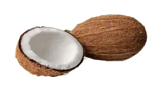 ქოქოსი (1 ცალი)