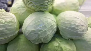 კომბოსტო
