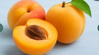 გარგარი