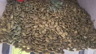 გოგრის თესლი