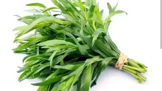 ტარხუნა