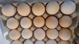 სოფლის კვერცხი