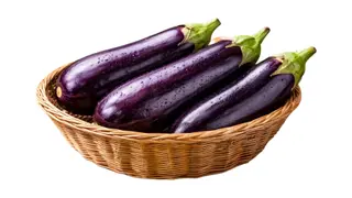 ბადრიჯანი