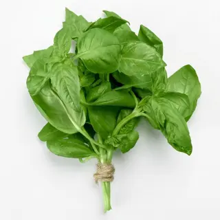 Basil Bunch