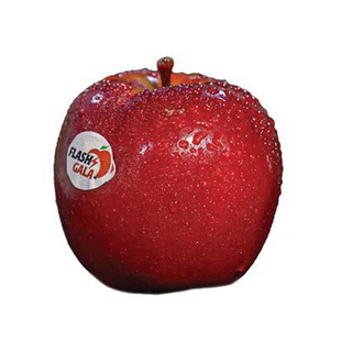 Flash Gala Red Apples, 1 Apple