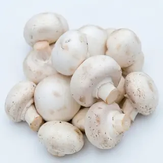 White Mushroom, 250g