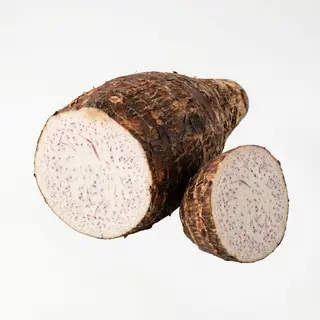 Arrowroot