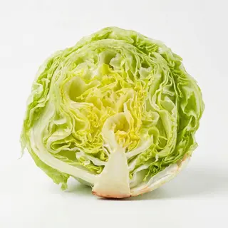 Iceberg Lettuce