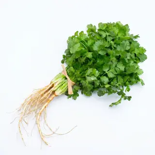 Dhania (Coriander)