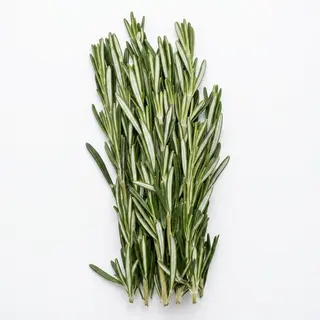 Rosemary