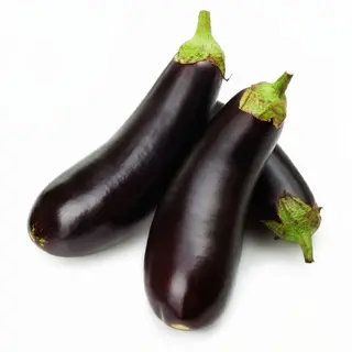 Black African Eggplant