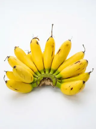 Yellow Baby Banana Bunch