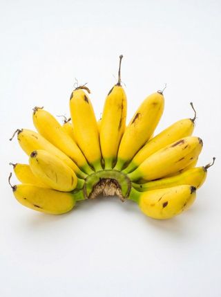 Yellow Baby Banana Bunch
