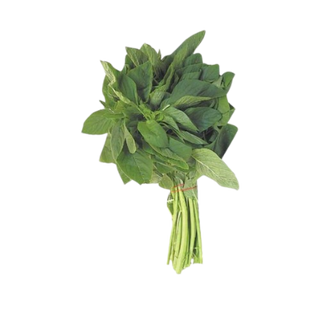 Saga Green Bunch, 1 Bunch
