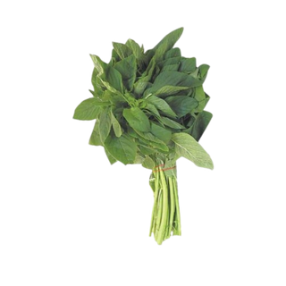 Saga Green Bunch, 1 Bunch