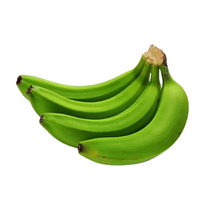 Green Banana Bunch