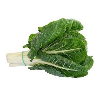 Fresh Spinach Bunch