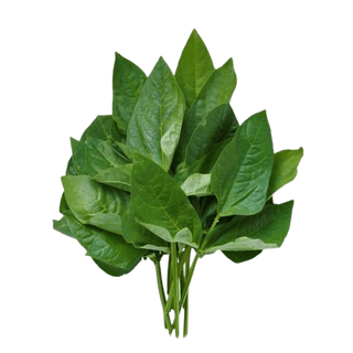Kunde Green Bunch, 1 Bunch