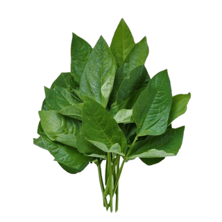 Kunde Green Bunch, 1 Bunch