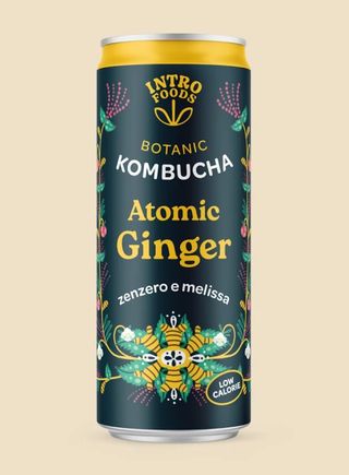 Kombucha Intro Atomic Ginger