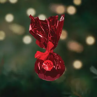 საიდუმლო ბომბი