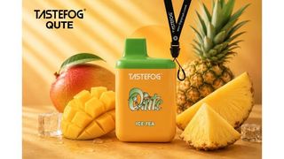 Tastefog qute - მანგო ანანასი ყინულით
