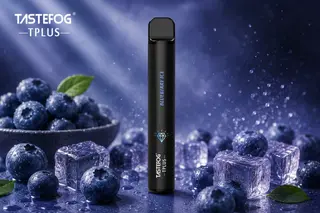 TASTEFOG Tplus - მოცვი ყინულით