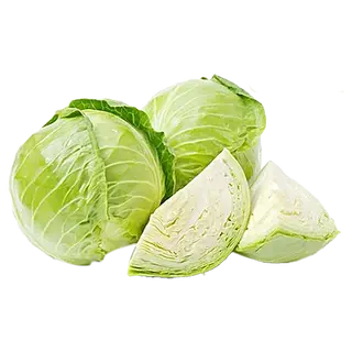 Green Cabbage White