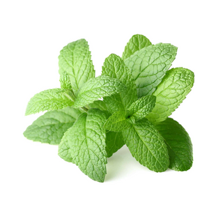 Peppermint