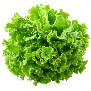 Green Curly Salad