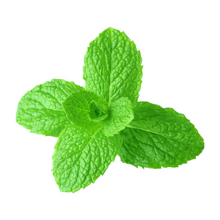 Spearmint Mint Scent