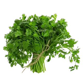 Parsley