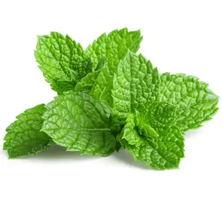Mint Scented Item