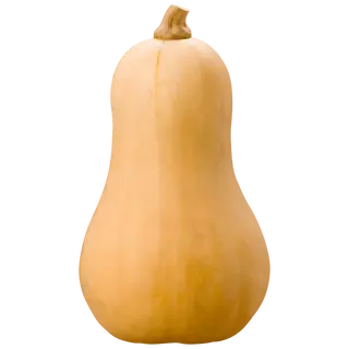 Butternut Squash