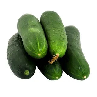 Green Cucumber, 4 Pieces