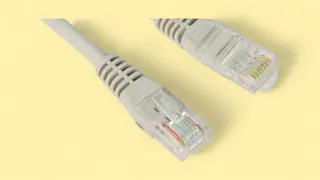 UTP PATCH CORD - Cable 2M