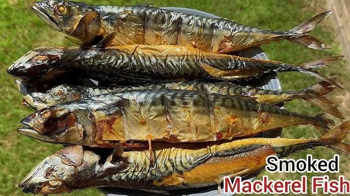 Smoked Titus Mackerel Fish, 1 Piece
