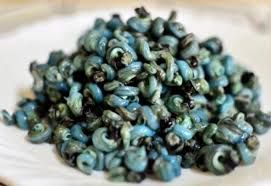 Periwinkles Milk Cup