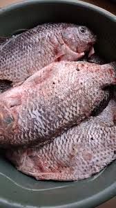 Tilapia Fish, 1Kg