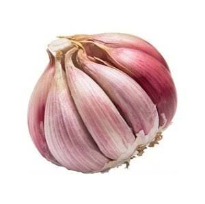 Local Garlic Bunch