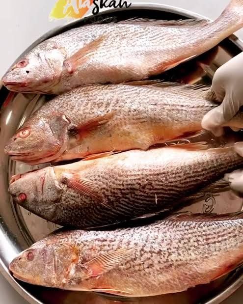 Croakers Fish Pack, 1Kg