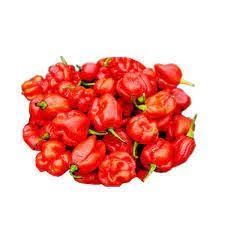 Red Pepper Tray