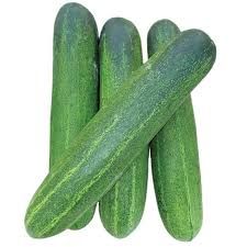 Green Cucumber Portion