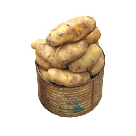Sweet Potatoes Medium, 8 Pieces