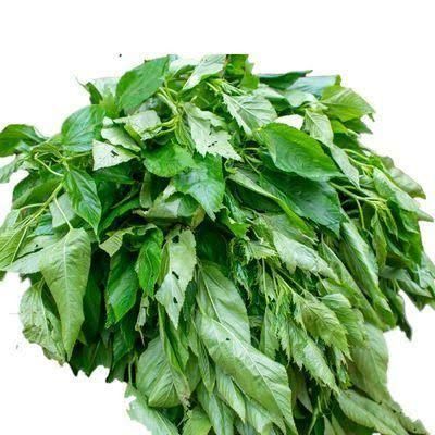 Plucked Ewedu